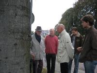 De boom in de bocht in Heerde