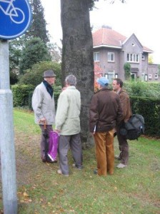 De boom in de bocht bij Heerde